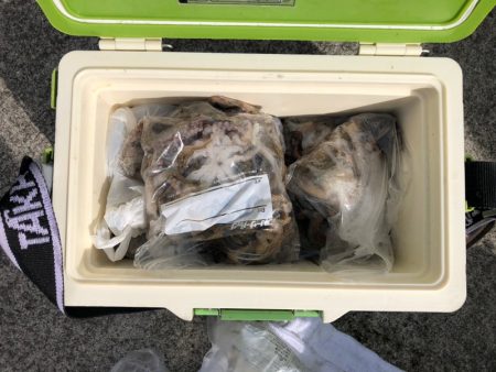 遊漁船高橋 釣果