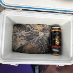 遊漁船高橋 釣果