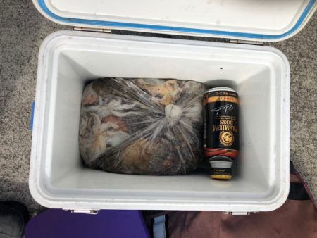 遊漁船高橋 釣果