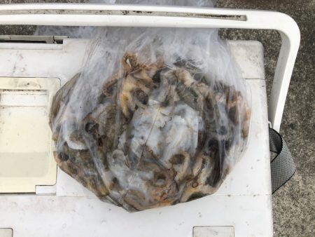 遊漁船高橋 釣果