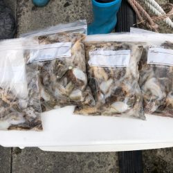 遊漁船高橋 釣果