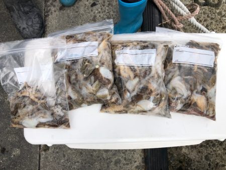 遊漁船高橋 釣果