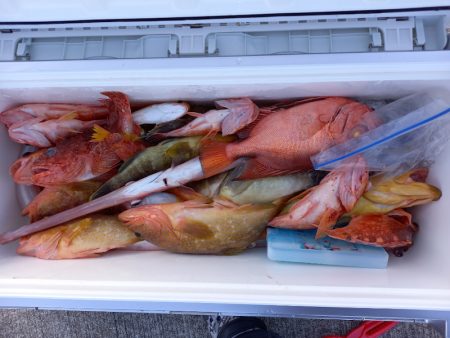 第二龍勢丸 釣果