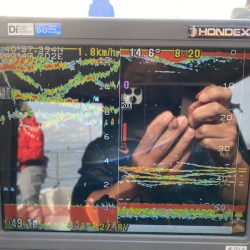 遊漁船ブルーウッズ 釣果