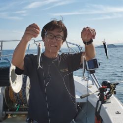 シーライオン 釣果