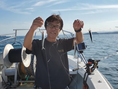 シーライオン 釣果