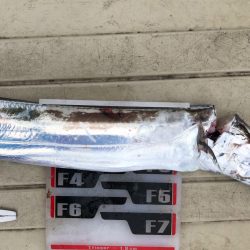 フィッシング キッタカ 釣果