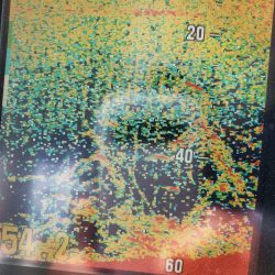 サンマリン 釣果