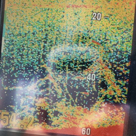 サンマリン 釣果