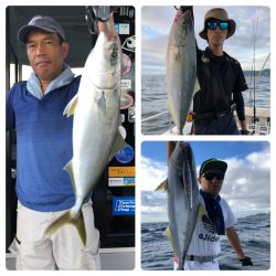 ビッグファイター 釣果