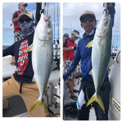 ビッグファイター 釣果