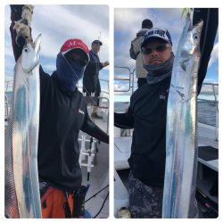 ビッグファイター 釣果