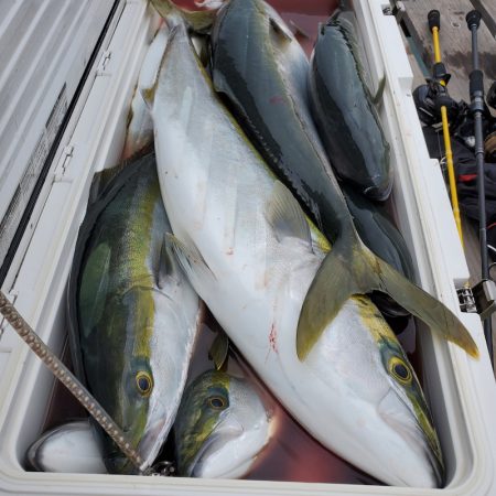 サンマリン 釣果