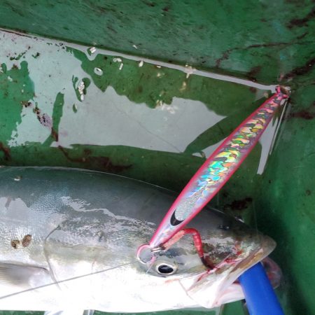 サンマリン 釣果