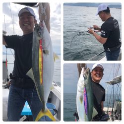 ビッグファイター 釣果