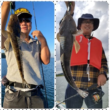 アマテラス 釣果