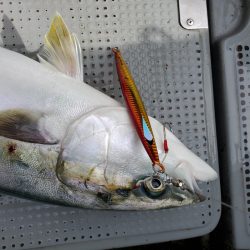 サンマリン 釣果