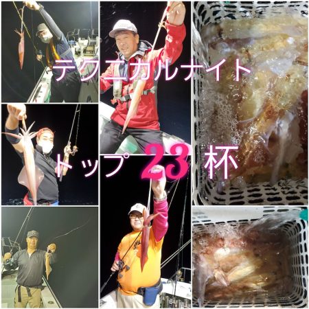 シーライオン 釣果