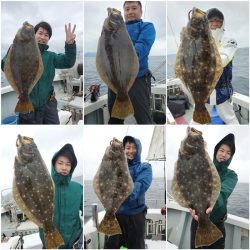 シーライオン 釣果