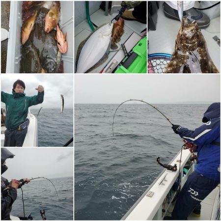 シーライオン 釣果