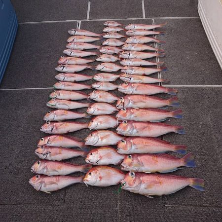 ARCADIAⅡ （アルカディアⅡ） 釣果…