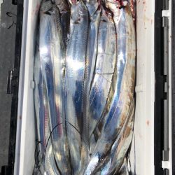 フィッシング　キッタカ 釣果