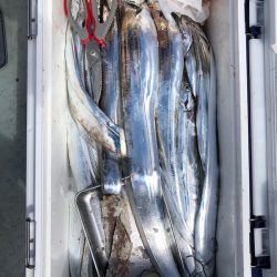 フィッシング　キッタカ 釣果