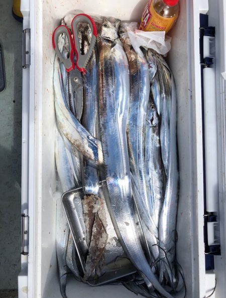 フィッシング　キッタカ 釣果