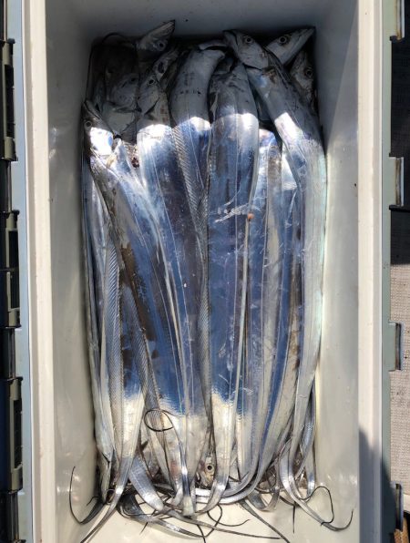 フィッシング　キッタカ 釣果