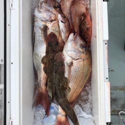 フィッシング　キッタカ 釣果