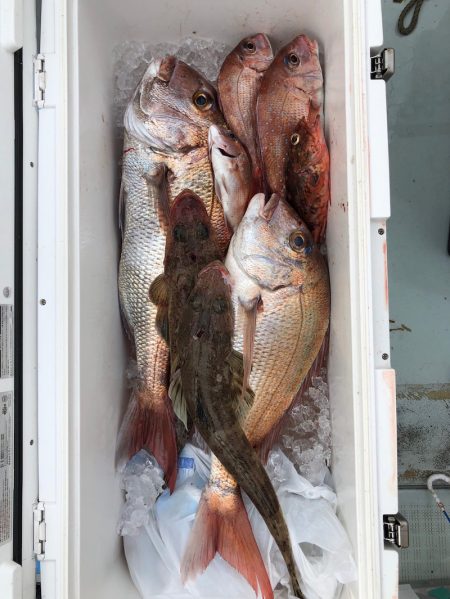 フィッシング　キッタカ 釣果