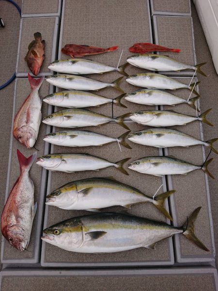 SeaRide(シーライド) 釣果