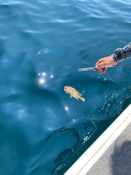 Monster Rush! 釣果