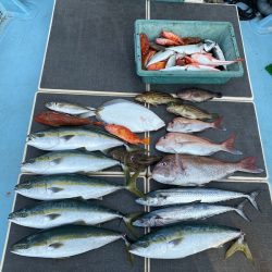 Monster Rush! 釣果