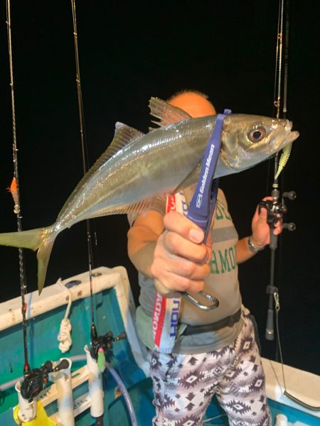 愛海丸 釣果