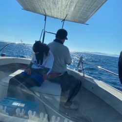 末広丸(熊本) 釣果