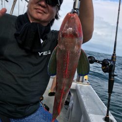 ランスルー 釣果