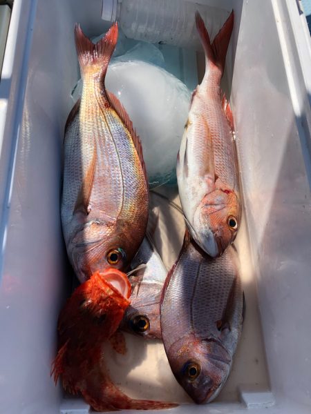 第二八坂丸 釣果