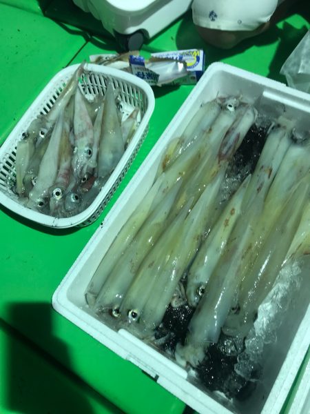 和丸（京都） 釣果