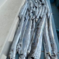 岡田釣船 八英丸 釣果