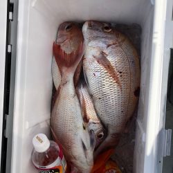 フィッシング キッタカ 釣果