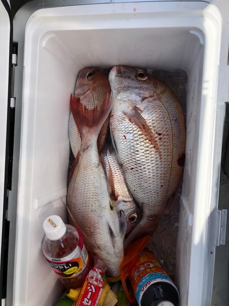 フィッシング キッタカ 釣果