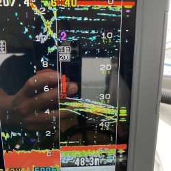 遊漁船ブルーウッズ 釣果