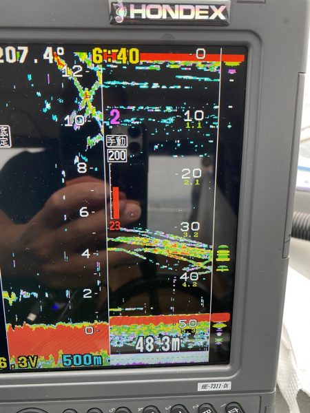 遊漁船ブルーウッズ 釣果