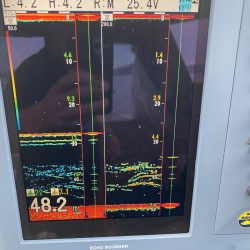 遊漁船ブルーウッズ 釣果