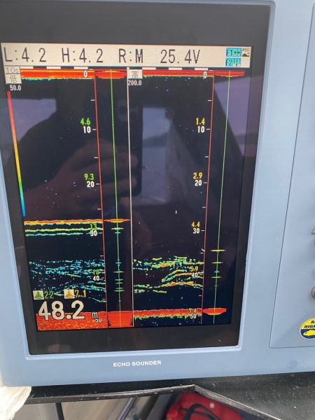 遊漁船ブルーウッズ 釣果