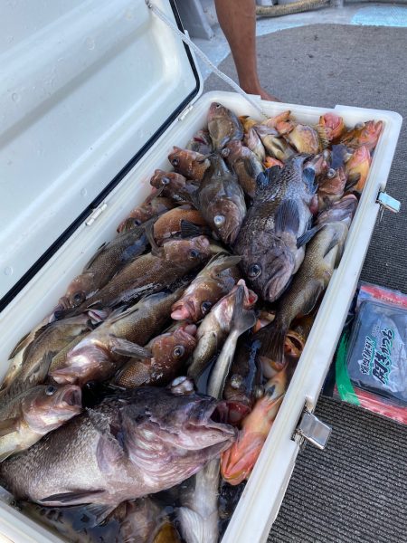 シーランチ 釣果