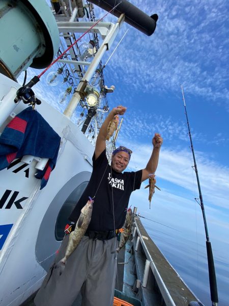 シーランチ 釣果