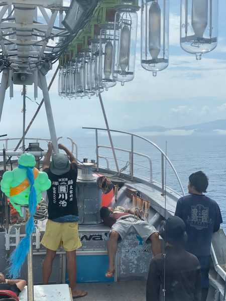 シーランチ 釣果