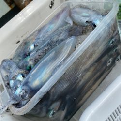 あみや渡船 JIGBOY 釣果